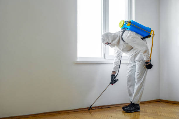Best Local Pest Control Services  in Hastings On Hudson, NY