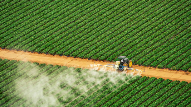 Best Commercial Pest Control Services  in Hastings On Hudson, NY