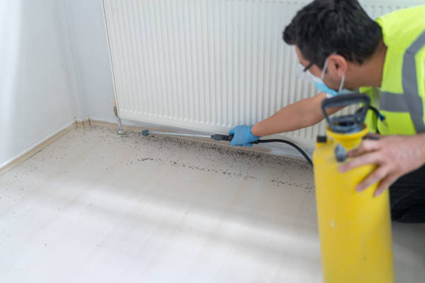 Best Mosquito Control Services  in Hastings On Hudson, NY